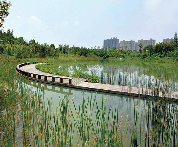 海綿城市建設